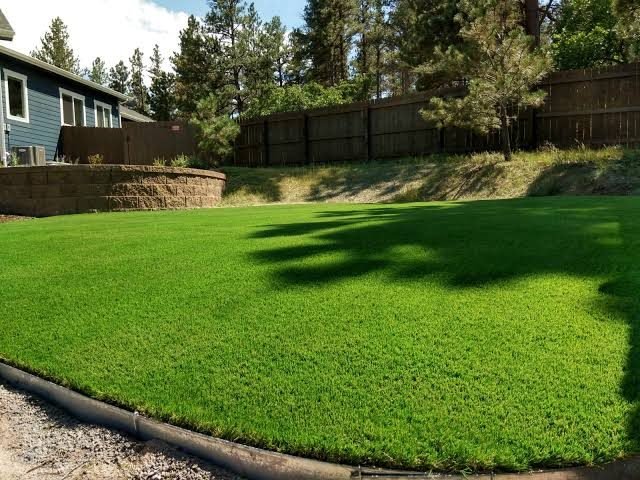 artificial grass installation project in Reno